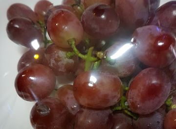 laos/khammouane-province/restaurant/tha-khaek-mai-restaurants