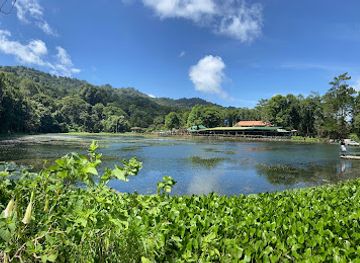 nicaragua/jinotega-mountains/restaurant/selva-negra-ecolodge