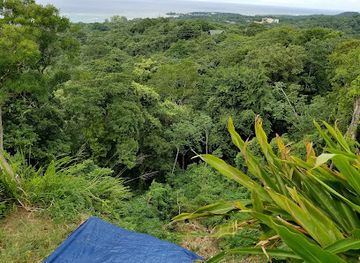 belize/cockscomb-basin-wildlife-sanctuary/restaurant/the-wet-lizard