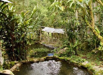 costa-rica/chirripo-national-park/restaurant/truchero-los-cocolisos
