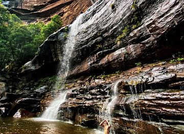 australia/blue-mountains-national-park/restaurant/fed-blue-mountains
