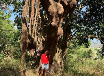 saint-kitts-and-nevis/sandy-point-town/restaurant/views-bar-grill