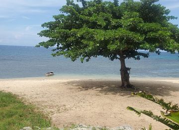 jamaica/runaway-bay/restaurant/hungry-hut