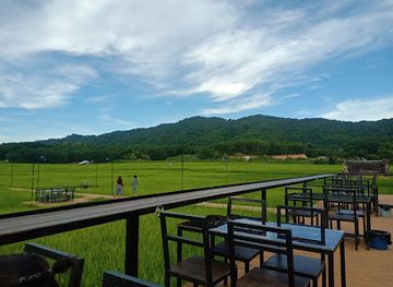 laos/muang-sing/restaurant/rice-field-restaurant