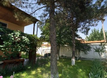 uzbekistan/tashkent-region/restaurant/choykhona