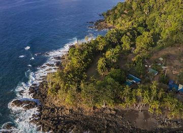 costa-rica/osa-peninsula/restaurant/the-jaguar-s-jungle-restaurant