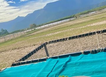 laos/champasak/restaurant/ban-aa-han-thong-na-sa-khay