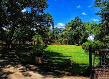zimbabwe/eastern-highlands/restaurant/the-departure-lounge