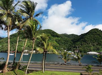 american-samoa/ta-u-island/restaurant/paradise-pizza