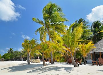 maldives/vaavu-atoll/restaurant/restaurant