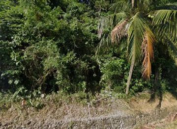 philippines/pagudpud/restaurant/precious-anne-nicole-eatery