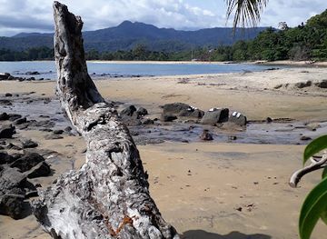 sierra-leone/port-loko-district/restaurant/tito-s-bar-and-restaurant