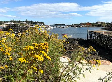 maine/washington-county/restaurant/lunch-on-the-wharf