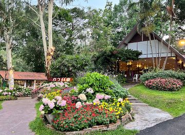 thailand/doi-suthep-pui-national-park/restaurant/galae-restaurant