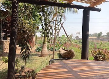 malawi/dzalanyama-forest-reserve/restaurant/masamba-gardens-and-cafe
