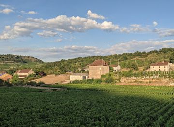 france/burgundy-vineyards/restaurant/restaurant-prosper