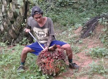 malaysia/pahang/restaurant/lepak-d-cafe