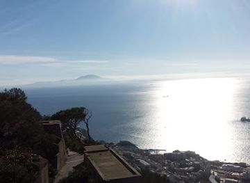 gibraltar/upper-rock-nature-reserve/restaurant/the-royal-calpe