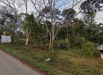 thailand/phu-kradueng/restaurant/ran-khrua-phu-ruea