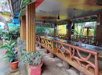 Jungle View