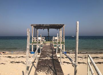qatar/sealine-beach-resort/restaurant/4x4-restaurant-and-cafe