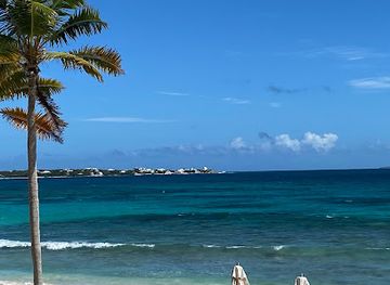 anguilla/blowing-point/restaurant/oliva