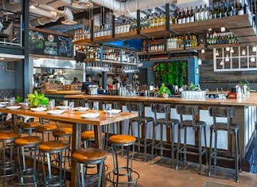 florida/sarasota-beaches/restaurant/boca