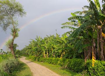 nepal/far-western-development-region/restaurant/rani-mahal-bananas-agro-resort