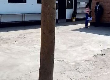 zambia/livingstone/restaurant/carnalu-restraurant