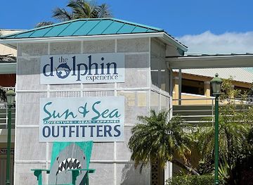 the-bahamas/grand-bahama-island/restaurant/dive-in-bar-grill