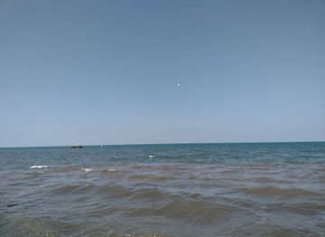 guatemala/livingston/restaurant/yalifu-bar-y-restaurante