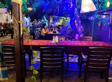 india/pushkar/restaurant/funky-monkey-cafe-garden-restaurant