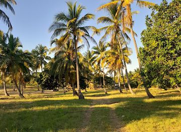 mozambique/inhambane-province/restaurant/crestiano