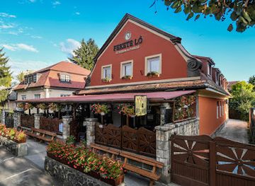 hungary/eger/restaurant/fekete-lo-etterem-es-panzio