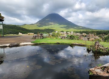 costa-rica/arenal-volcano-national-park/restaurant/lava-68-cafeteria