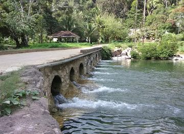 belize/toledo-district/restaurant/yona-s-mayan-grill-and-restaurant