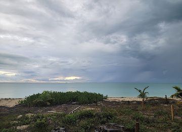 the-bahamas/cat-island/restaurant/gigi-s-restaurant