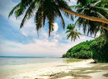 seychelles/bird-island/restaurant/surfers-beach-restaurant