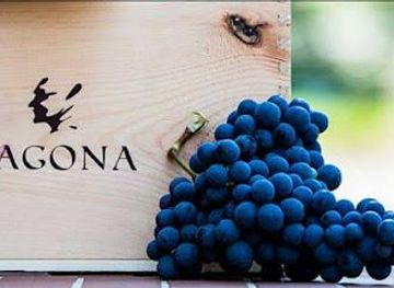 italy/tuscany/restaurant/l-agona-vini