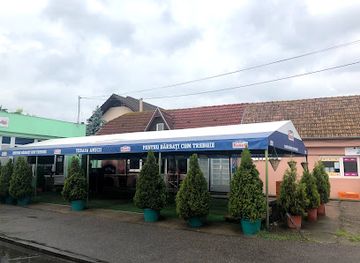 romania/hunedoara/restaurant/terasa-amicii