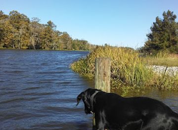 louisiana/atchafalaya-national-heritage-area/restaurant/atchafalaya-national-heritage-area-bayou-teche