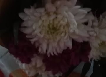 afghanistan/kabul/restaurant/no-dat