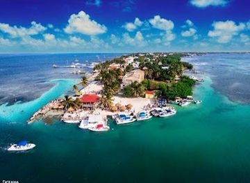 belize/lighthouse-reef-atoll/restaurant/the-lazy-lizard