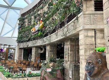 united-arab-emirates/abu-dhabi/yas-island/restaurant/rainforest-cafe-restaurant-abu-dhabi