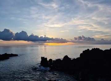 comoros/moheli/restaurant/l-aquarium-sarl