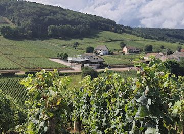 france/burgundy-vineyards/restaurant/le-charlemagne