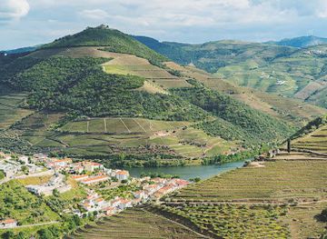 portugal/douro/restaurant/casa-do-arco-by-douro-exclusive