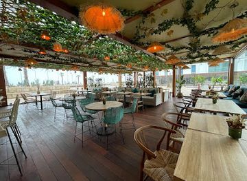 morocco/casablanca/anfa/restaurant/coco-palm