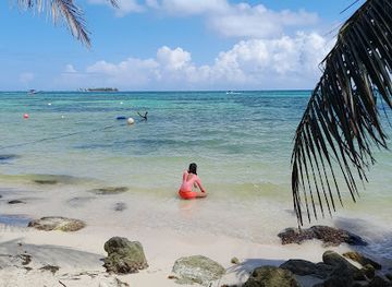 colombia/san-andres-island/restaurant/rocky-cay-restaurant-bar-beach