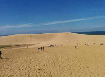 japan/tottori-sand-dunes/restaurant/taiki-the-seafoods-bowl